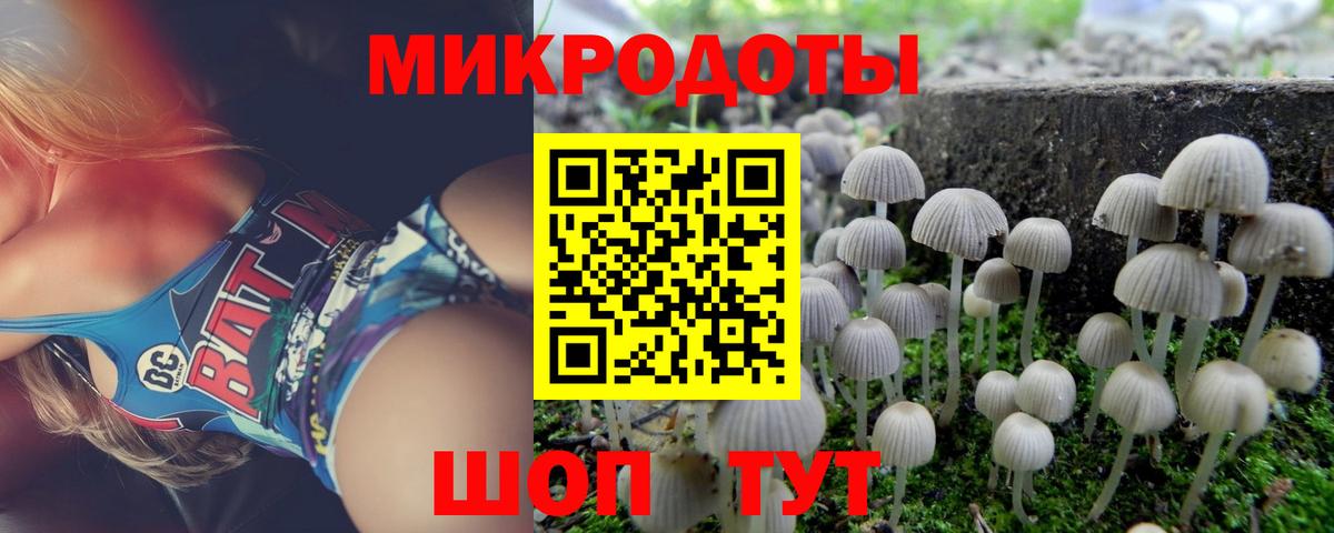 Галлюциногенные грибы прущие грибы Краснодар